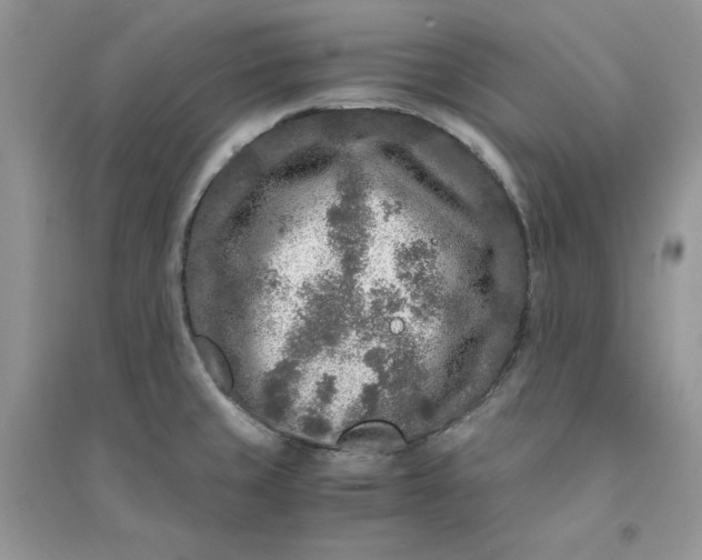 X0000094431429200711291523