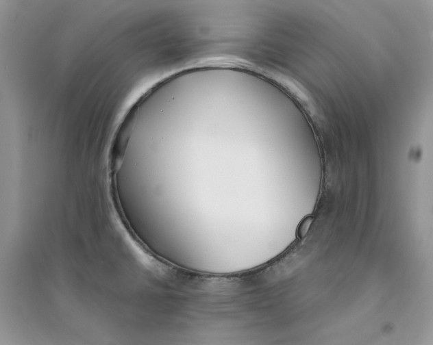 X0000094431430200711291523