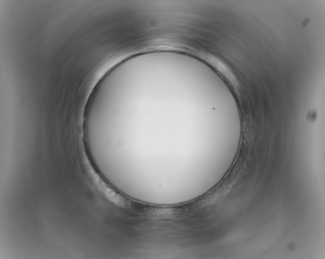 X0000094431431200711291523