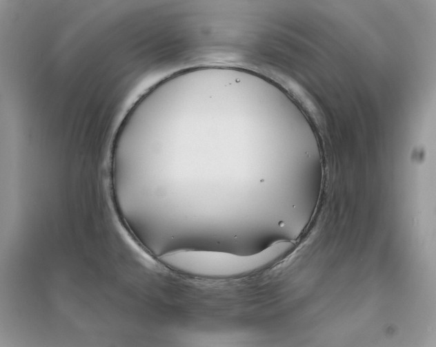 X0000094431432200711291523