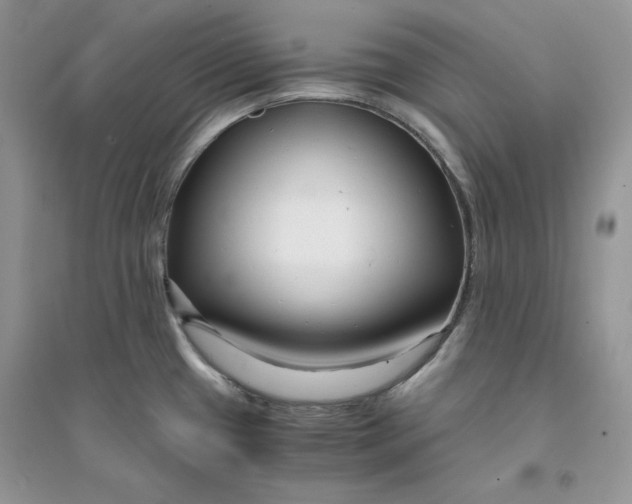 X0000094431433200711291523