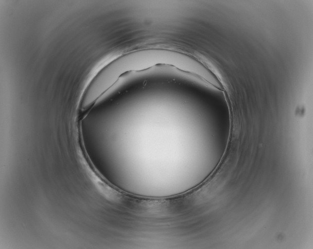 X0000094431434200711291523