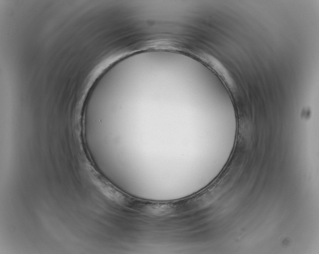 X0000094431435200711291523