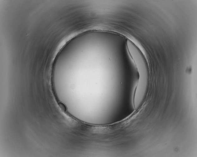 X0000094431437200711291523