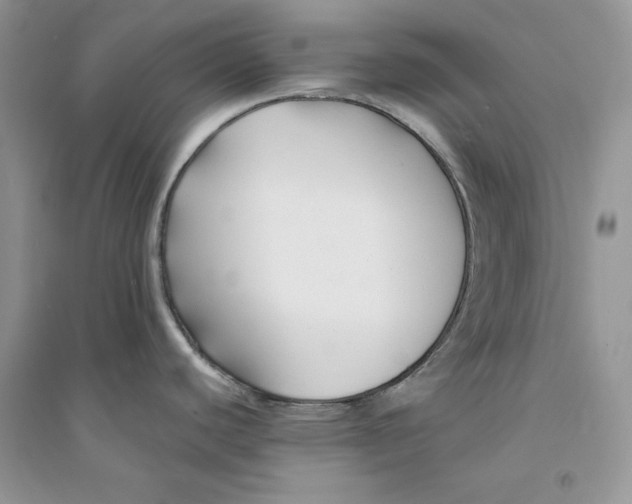 X0000094431440200711291523