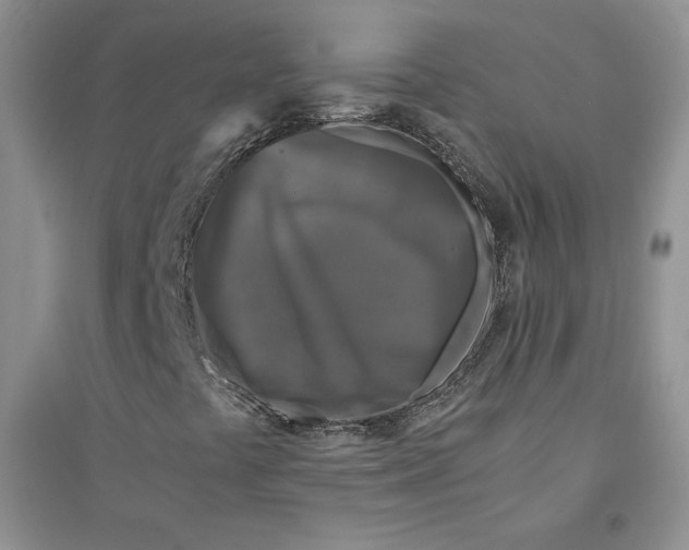 X0000094431441200711291522