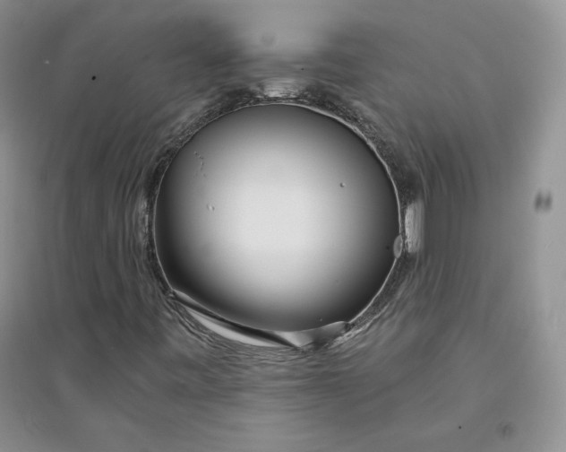 X0000094431443200711291522