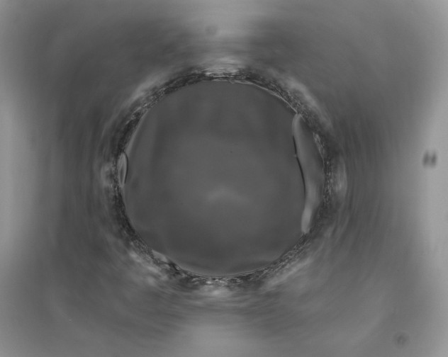 X0000094431445200711291522