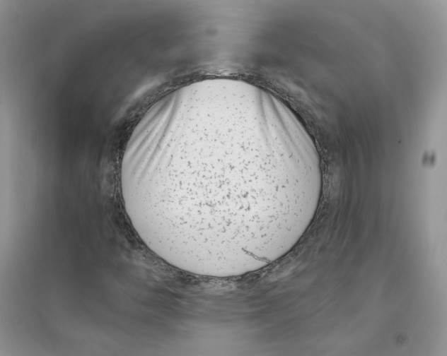 X0000094431446200711291522