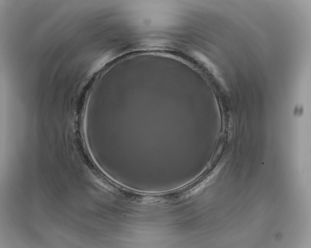 X0000094431449200711291522