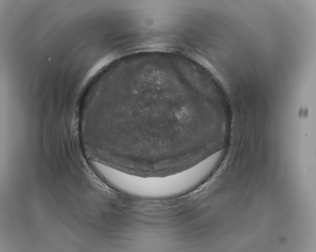 X0000094431450200711291522