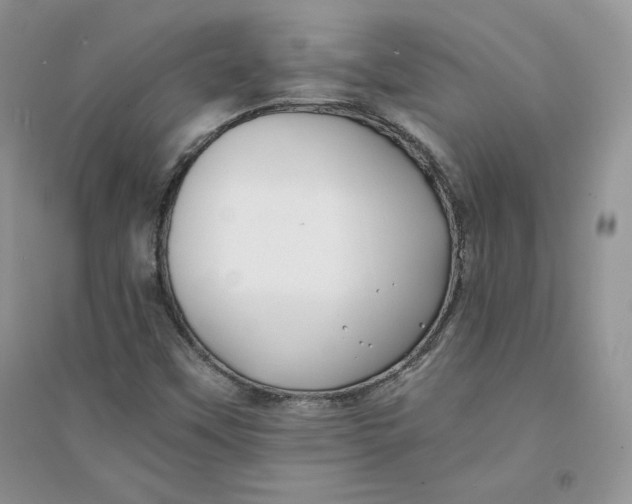 X0000094431451200711291522