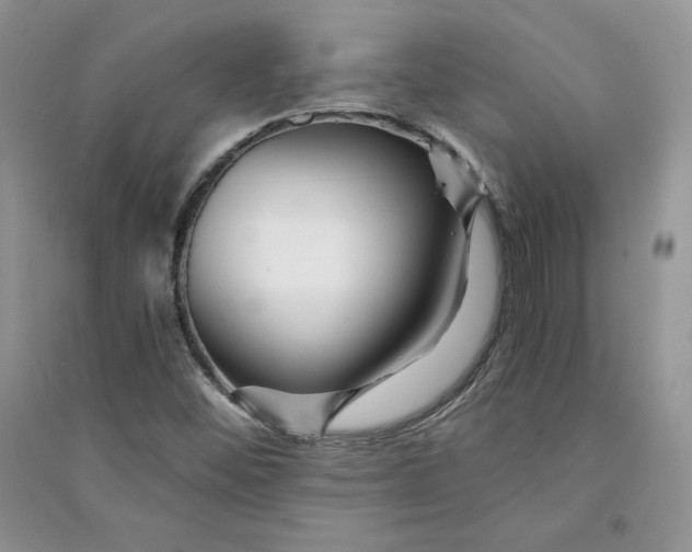 X0000094431452200711291522