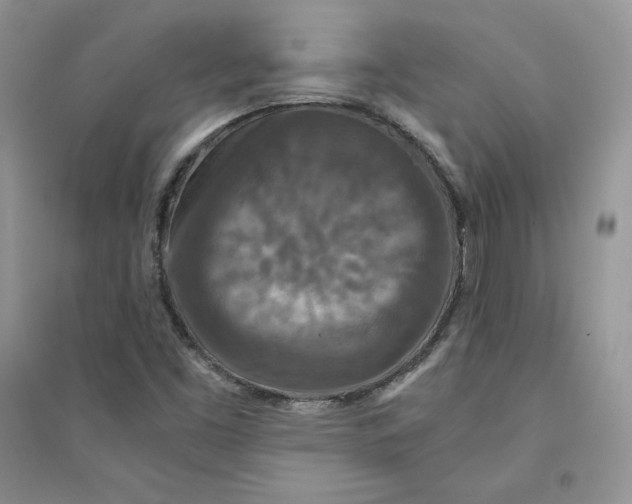 X0000094431453200711291522