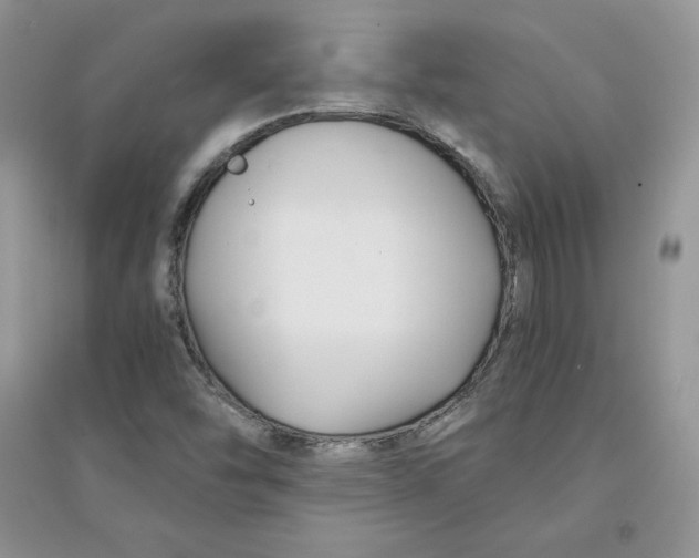 X0000094431454200711291522