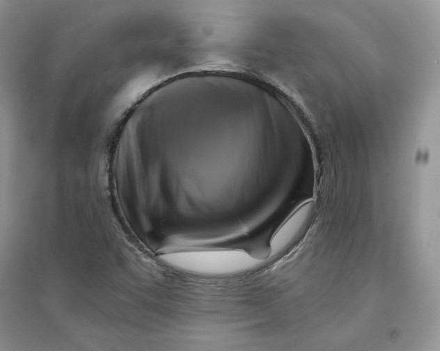 X0000094431455200711291522