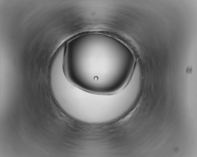 X0000094431457200711291522