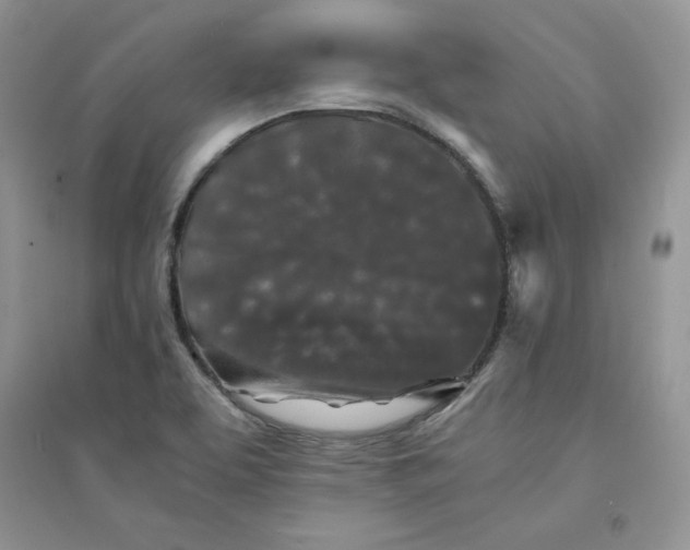 X0000094431463200711291522