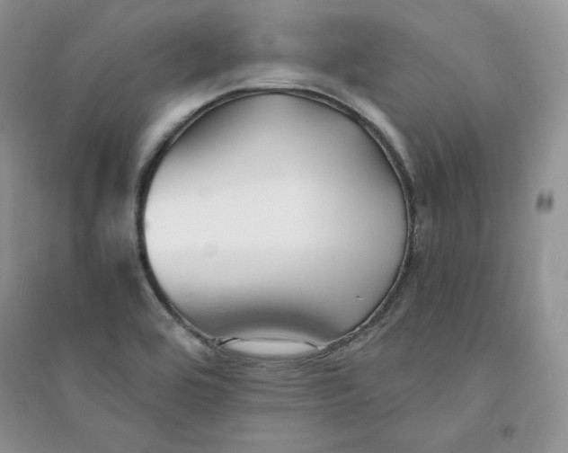 X0000094431464200711291522