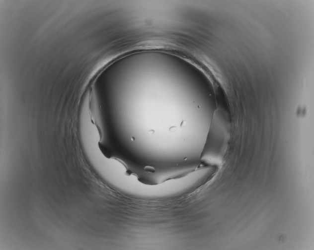 X0000094431465200711291522