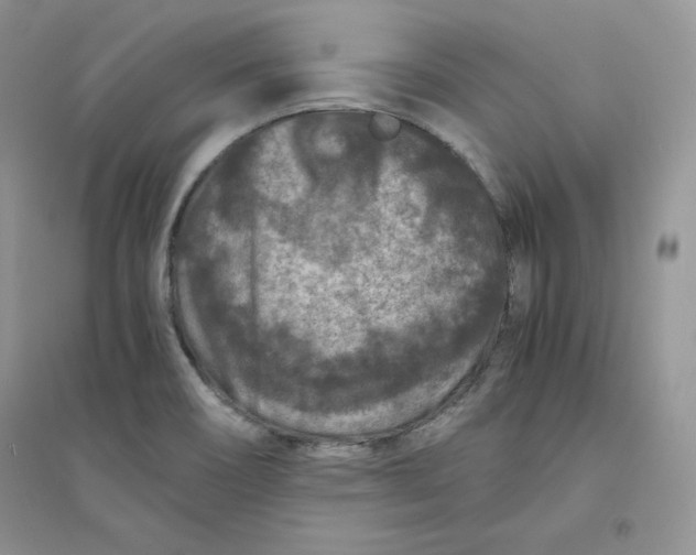 X0000094431466200711291521