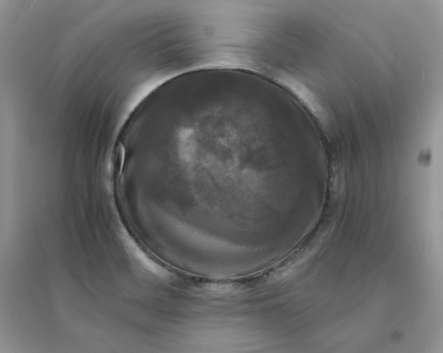 X0000094431468200711291521