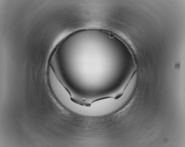 X0000094431469200711291521