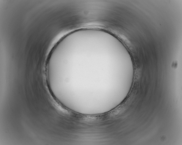 X0000094431470200711291521