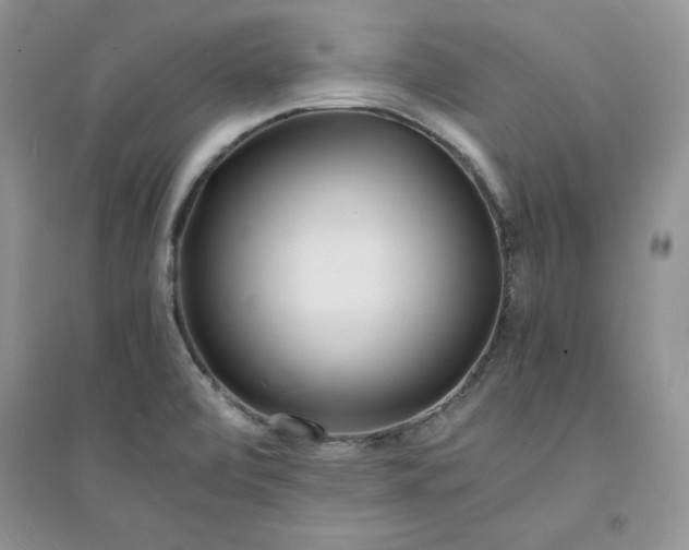 X0000094431472200711291521