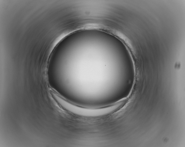 X0000094431473200711291521