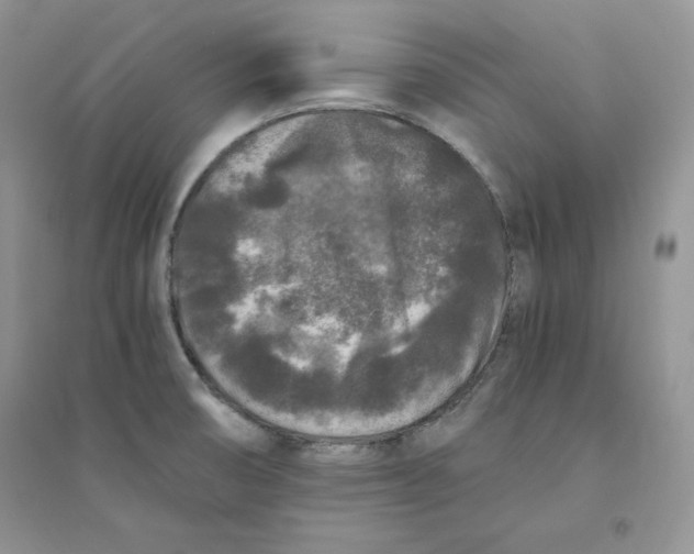 X0000094431474200711291521