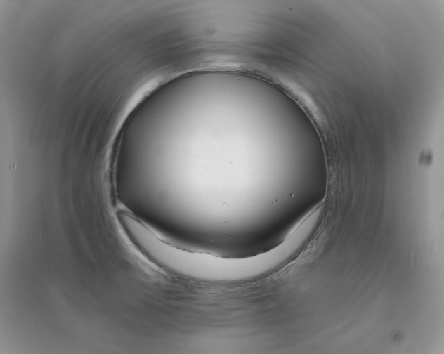 X0000094431475200711291521