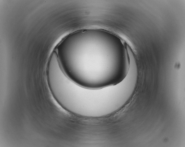 X0000094431476200711291521