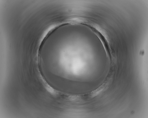 X0000094431477200711291521