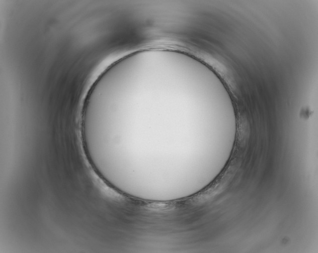 X0000094431478200711291521