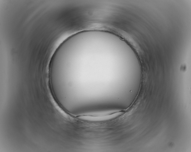 X0000094431479200711291521