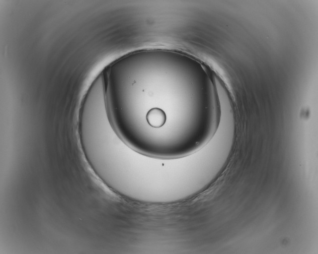 X0000094431480200711291521