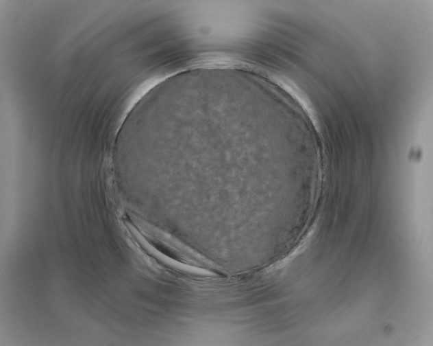 X0000094431481200711291521