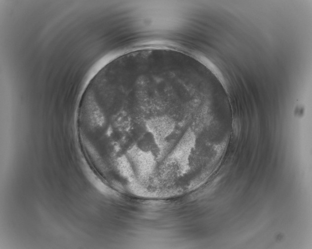 X0000094431482200711291521