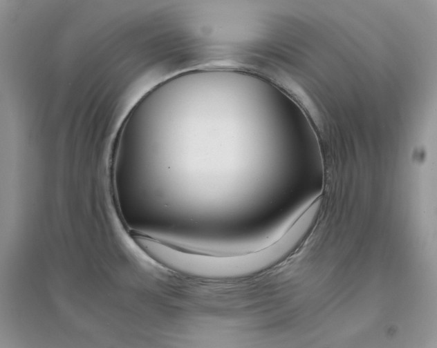 X0000094431483200711291521