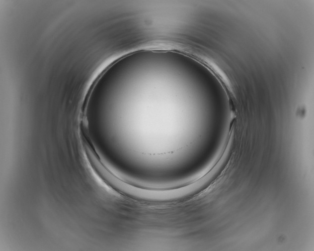 X0000094431484200711291521