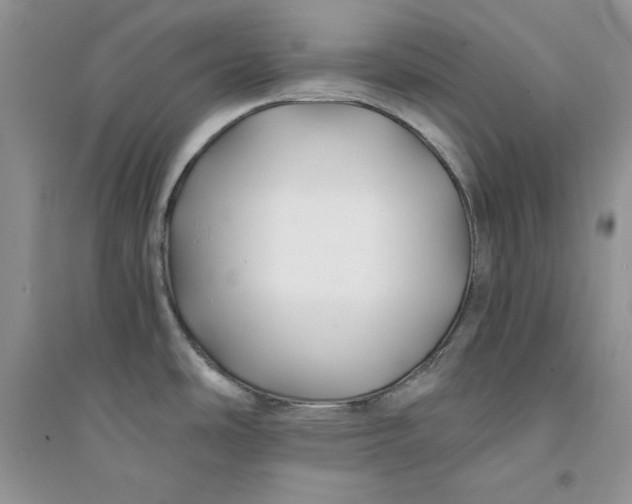 X0000094431486200711291521