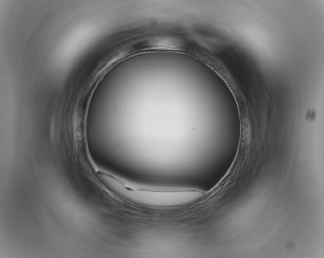 X0000094431487200711291521