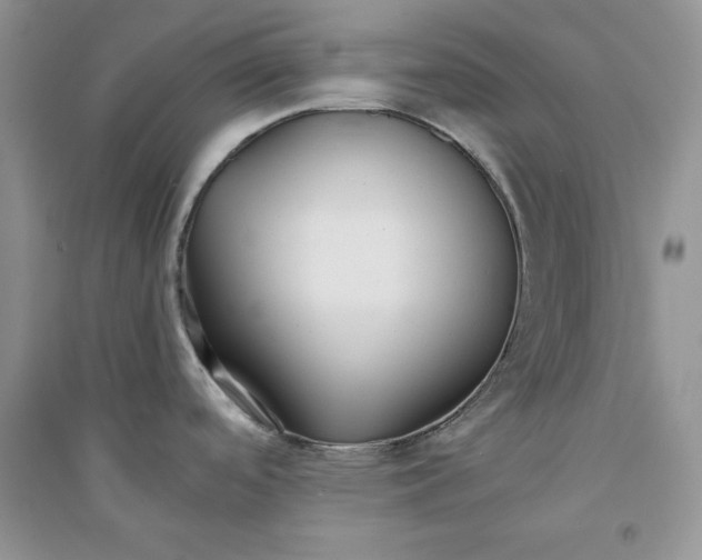 X0000094431488200711291521