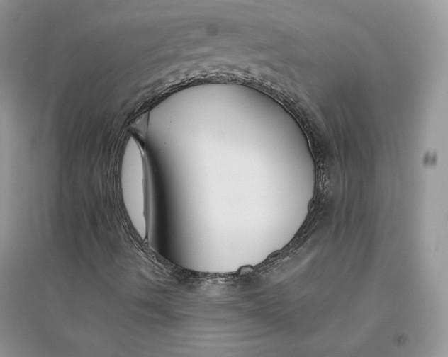 X0000094431490200711291520