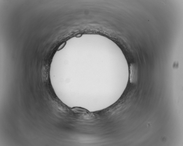 X0000094431491200711291520