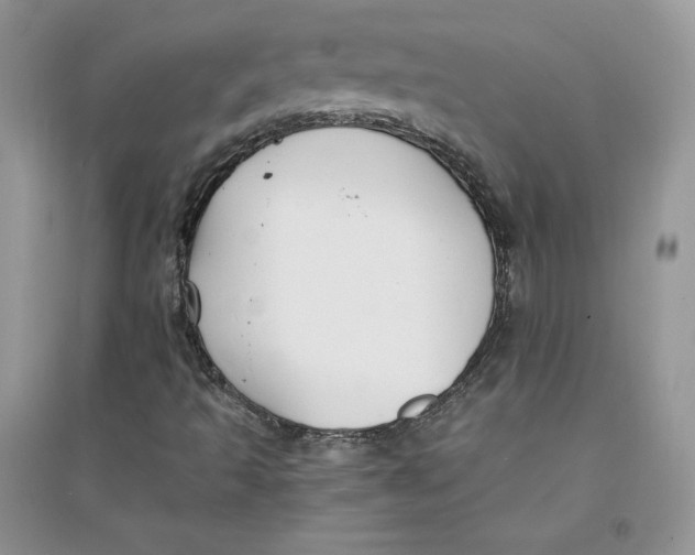 X0000094431493200711291520