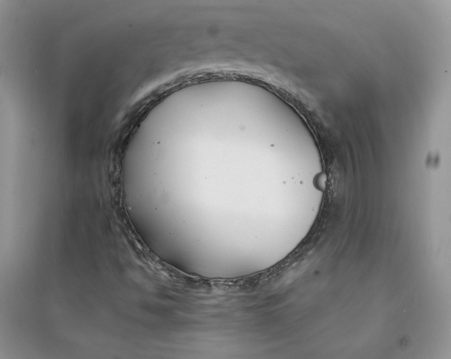 X0000094431494200711291520