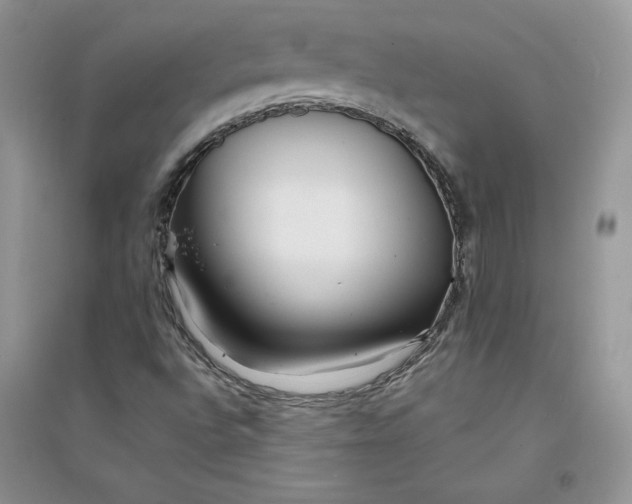 X0000094431496200711291520