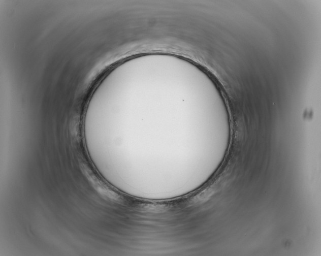 X0000094431499200711291520